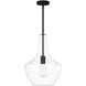 EVOLV 14 inch Matte Black Pendant Ceiling Light, Harlow Family