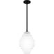 Driscoll 1 Light 10 inch Matte Black Mini Pendant Ceiling Light