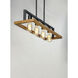 Black Forest 4 Light 29.5 inch Black and Ashbury Linear Pendant Ceiling Light