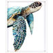 Animals Turquoise and Black and Orange and Blue Framed Art