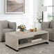 Bosk 54 X 18 inch White Washed Glaze and Natural Aged Black Coffee Table