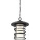 Lansing 1 Light 11 inch Textured Black Outdoor Hanging Lantern