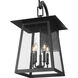 Rainer Outdoor Wall Light in Black, G9