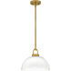 Quoizel Jansen 1 Light 12 inch Brushed Gold Pendant Ceiling Light QP6217BRG - Open Box