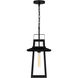 Devonport 1 Light 10 inch Matte Black Outdoor Hanging Lantern