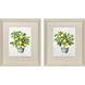 Lemon Tree Yellow and Green Framed Art, Propac
