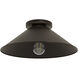 Skyflow 1 Light 14 inch Matte Bronze Outdoor Flush Mount, Medium