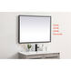 Pier 40 X 24 inch Black LED Mirror