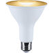 Starfish LED PAR30 E26 12.50 watt 2700K-5000K LED Bulb
