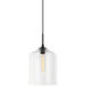 Matteo Lighting Irresistible Organic Charm 1 Light 10 inch Clear Pendant Ceiling Light C41404CL - Open Box