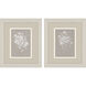 Delicate Botanicals Gray and Neutral Framed Art, Propac