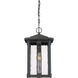 Everglade 1 Light 10.5 inch Earth Black Outdoor Hanging Lantern