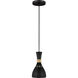 ED Ellen DeGeneres Joan 1 Light 6.25 inch Midnight Black Mini-Pendant Ceiling Light