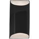 Ambiance Outdoor Wall Sconce