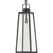 Hugh 1 Light 8.5 inch Black with Burnished Bronze Outdoor Hanging