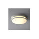 Oracle 2 Light 18 inch Satin Nickel Flush Mount Ceiling Light
