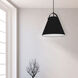 Emperor 1 Light 13 inch Matte Black Pendant Ceiling Light