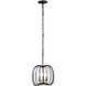 Nico 3 Light 12 inch Carbon and Havana Gold Mini Pendant Ceiling Light
