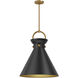 Alora Mood Emerson Pendant Ceiling Light in Aged Gold and Matte Black