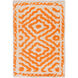Atlas 36 X 24 inch Burnt Orange, Beige Rug