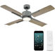 Cervantes 56 inch Graphite Weathered Gray with Weathered Gray Blades Downrod Ceiling Fan in 2700K
