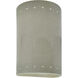 Ambiance Cylinder LED 5.75 inch Celadon Green Crackle Wall Sconce Wall Light, Small
