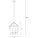 Sean Lavin Gannet 4 Light 12 inch Weathered Oak Wood / Antique Forged Iron Chandelier Ceiling Light