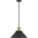 Tremolo 1 Light 16.25 inch Textured Black and Champagne Gold Pendant Ceiling Light
