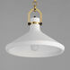 Lumi 1 Light 16 inch Satin Brass Single Pendant Ceiling Light
