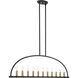 Abbott 11 Light 54 inch Black Linear Chandelier Ceiling Light