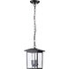 Jamesport 8 inch Matte Black Outdoor Hanging Lantern