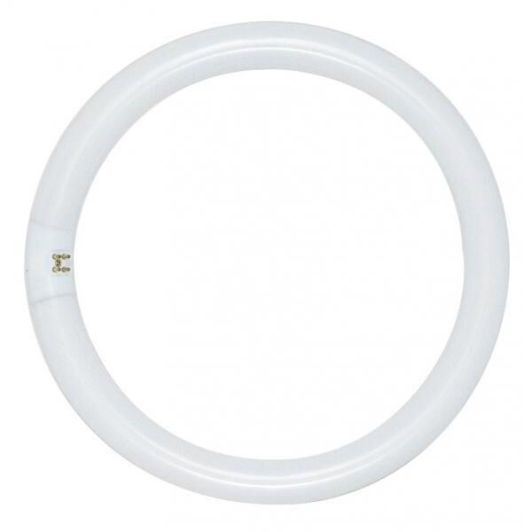 Lumos Fluorescent 40 watt 4100K Light Bulb, Circline - T5-T6-T9