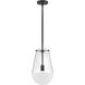 Beck 9 inch Black Indoor Pendant Ceiling Light