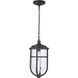 Voyage 1 Light 10 inch Midnight Outdoor Pendant