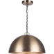 Magnolia 1 Light 16 inch Gold Pendant Lighting Ceiling Light
