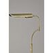 Zane 56.5 inch 10.00 watt Antique Brass Floor Lamp Portable Light, with Smart Switch