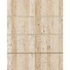 Dezi 48 inch Natural and Brass Console Table