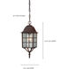 Adams 1 Light 6 inch Rustic Bronze Outdoor Hanging Lantern