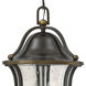 Bolla 3 Light 11 inch Olde Bronze Outdoor Hanging Lantern