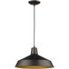 Alcove 1 Light 16 inch Oil Rubbed Bronze Pendant Ceiling Light