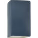 Ambiance Collection LED 13.5 inch Midnight Sky/Matte White Outdoor Wall Sconce