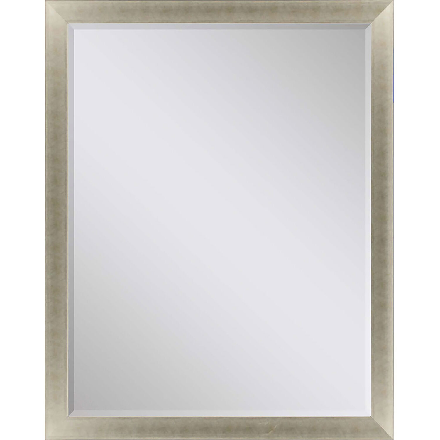 790 Mirror Group 45 X 35 inch Metallic and Neutral Wall Mirror