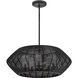 Lisa McDennon Open Air Luca LED 28 inch Black Outdoor Chandelier in 12V LED