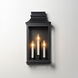 Savannah VX 3 Light 22 inch Black Oxide Outdoor Wall Mount