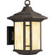 Arts And Crafts Outdoor Wall Lantern, Medium