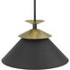 Tremolo 1 Light 16.25 inch Textured Black and Champagne Gold Pendant Ceiling Light