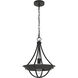Perch Point 14 inch Pendant Ceiling Light