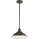 Pier 1 Light 13 inch Olde Bronze Pendant/Semi Flush Ceiling Light