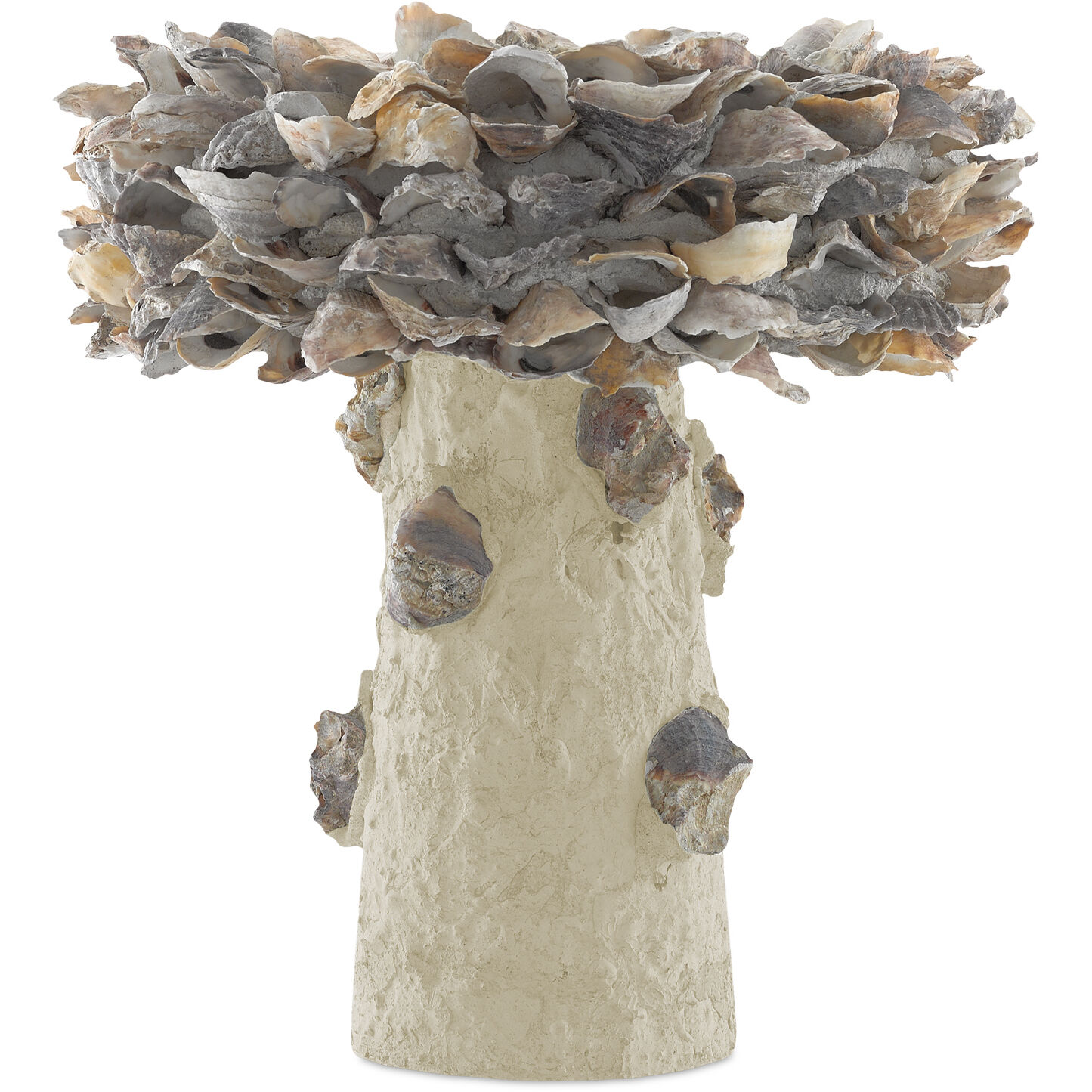 Oyster Shell Natural Bird Bath, Small