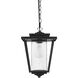 York 1 Light 10 inch Black Outdoor Pendant
